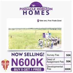 Pinnacle-Horizon-Homes-1
