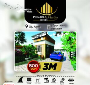 Pinnacle-Prestige-Homes-Oju-Agbe-Ibeju-Lekki-JULY-20TH