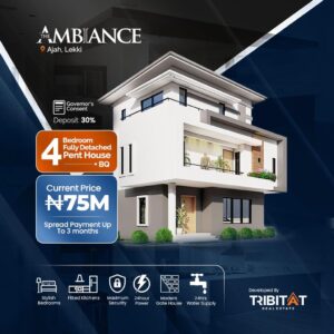 The-Ambiance-Estate-Abraham-Adesanya-Ajah-September-2022-1