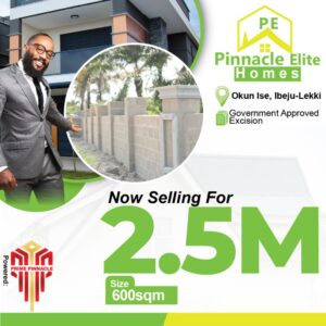 pinnacle-elite-homes