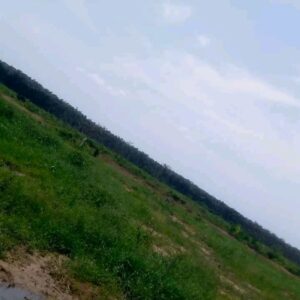 lagoon-front-estate-alaro-city-epe-2