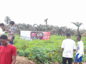 alpha-island-idi-iroko-ibeju-lekki-lagos-3