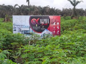 alpha-island-idi-iroko-ibeju-lekki-lagos-5
