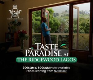 land-for-sale-in-ridgewood-gardens-ketu-epe-1