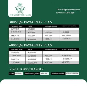land-for-sale-in-ridgewood-gardens-ketu-epe-2