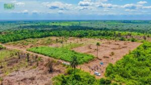 plot-of-land-for-sale-at-the-garnet-estate-epe-lagos-4