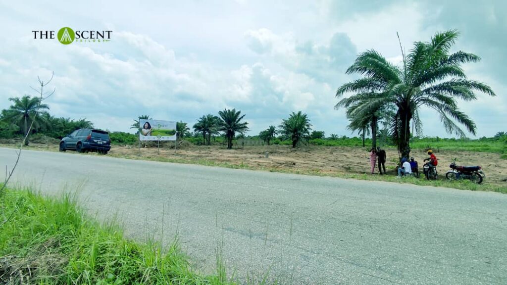plots-of-land-for-sale-at-the-ascent-trilogy-phase-3-ketu-epe-3