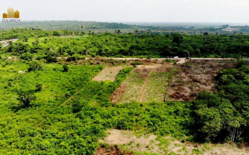 buy-plots-of-land-in-goldmine-court-phase-2-ketu-epe-1