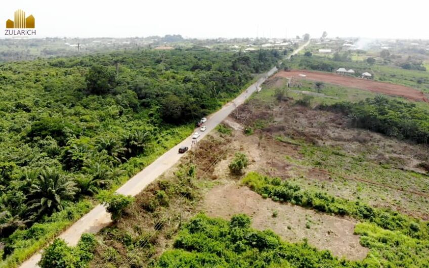 buy-plots-of-land-in-goldmine-court-phase-2-ketu-epe-2