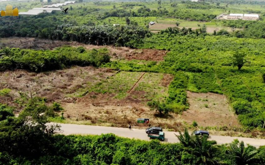 buy-plots-of-land-in-goldmine-court-phase-2-ketu-epe-3