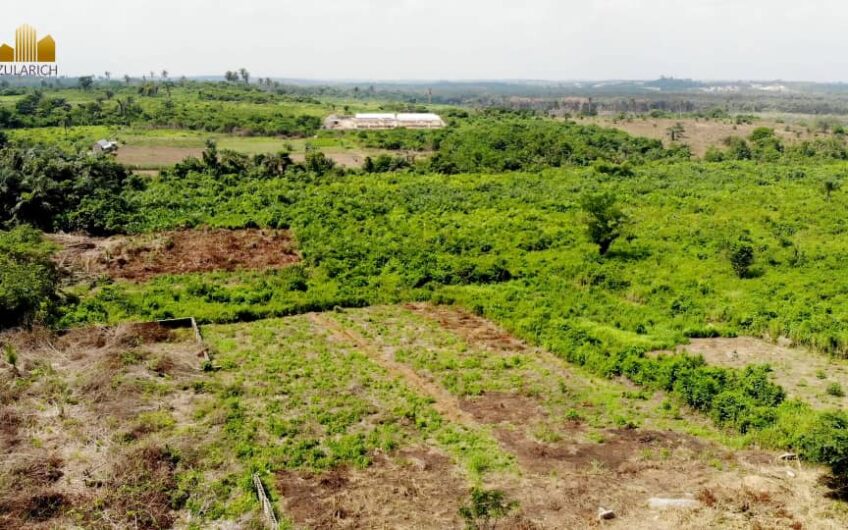 buy-plots-of-land-in-goldmine-court-phase-2-ketu-epe-4