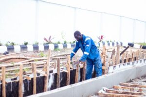 plots-of-land-for-sale-dukia-africa-estate-molajoye-epe-site-tpihomesng-3