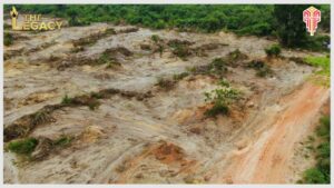 plots-of-land-for-sale-the-legacy-elerangbe-ibeju-lekki-epe-expressway-lagos-airport-2