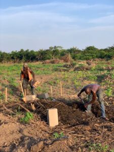 plots-of-land-for-sale-naevia-town-ketu-epe-site-1