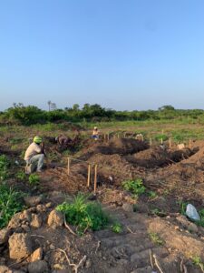 plots-of-land-for-sale-naevia-town-ketu-epe-site-3