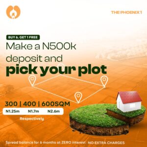 plots-of-land-phoenix-estate-igbonla-epe-lagos