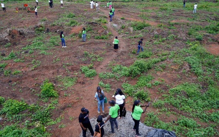 plots-of-land-coral-city-igboye-epe-lagos-2