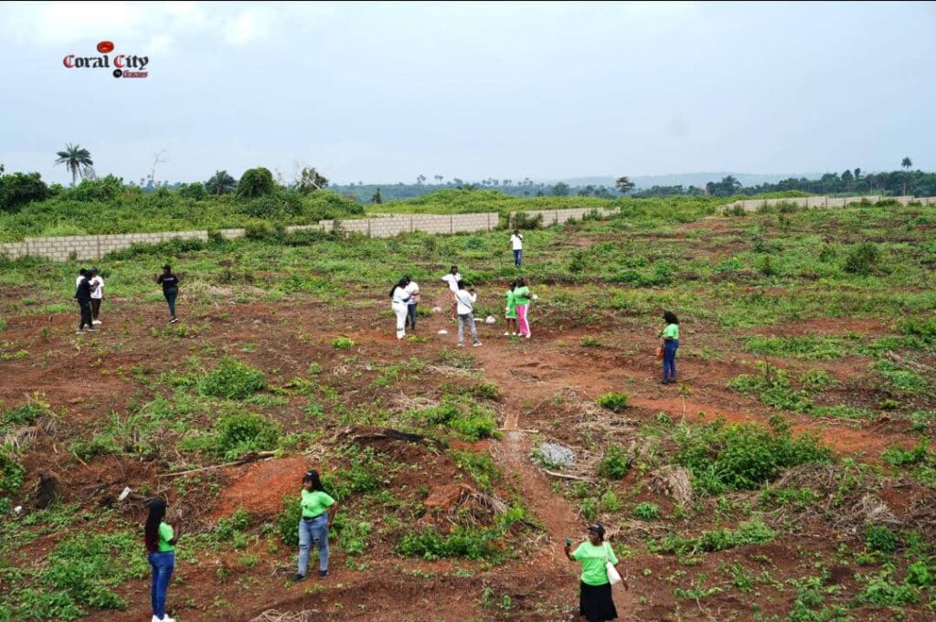 plots-of-land-coral-city-igboye-epe-lagos-3