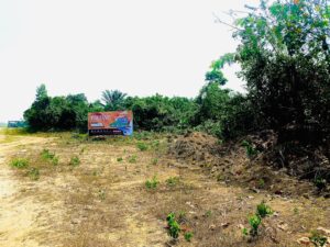 OWN-A-PIECE-OF-THE-BOULEVARD-ESTATE-EPE-PLOTS-NOW-SELLING-6
