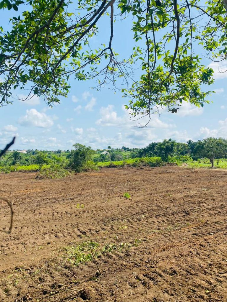 INTRODUCING-THE-BOULEVARD-ESTATE-2.0-EPE-–-PLOTS-NOW-AVAILABLE-4-