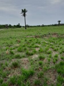 affordable-cheap-plots-land-luminous-city-odeomi-ibeju-lekki-lagos-10-