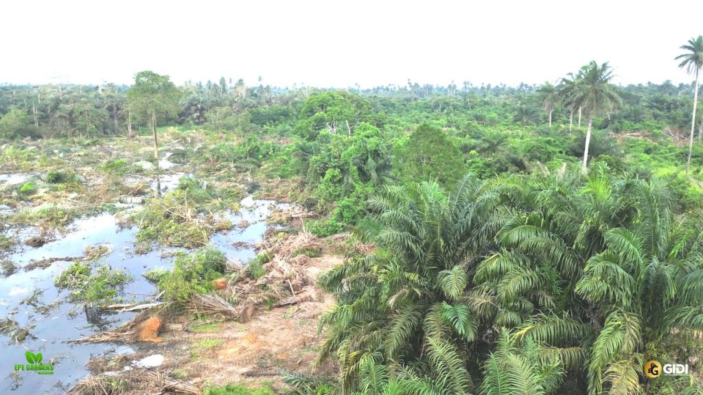 plots-land-selling-epe-gardens-waterfront-igbonla-epe-lagos-site-pics-6-