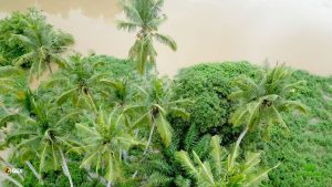 plots-land-selling-epe-gardens-waterfront-igbonla-epe-lagos-site-pics-8-