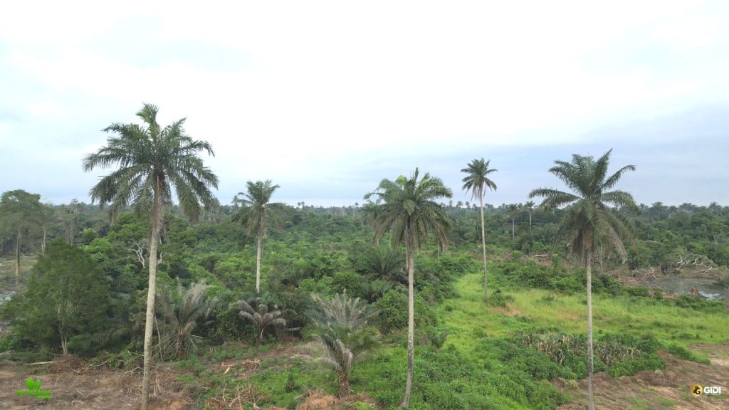 plots-land-selling-epe-gardens-waterfront-igbonla-epe-lagos-site-pics-9-
