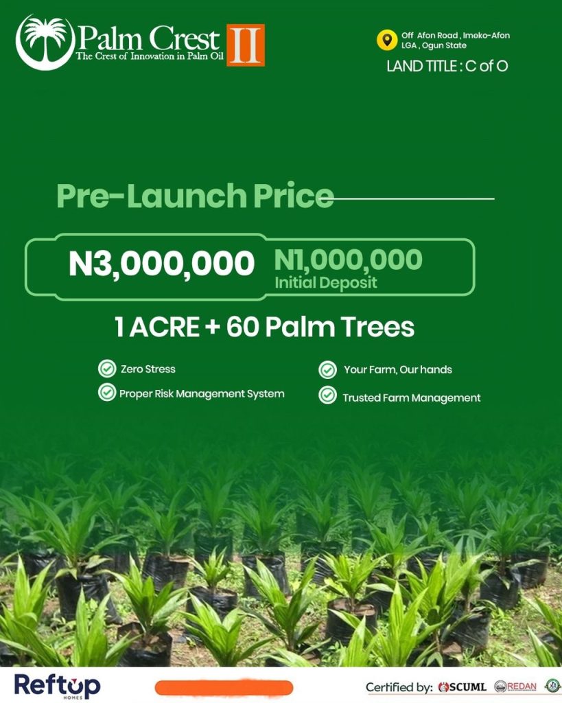 PALM-CREST-FARM-PHASE-2-OGUN-STATE-The-Crest-Of-Innovation-In-Palm-Oil-imeko-afon-lga -2