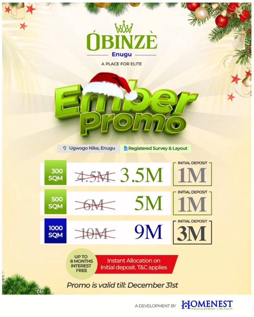 OBINZE ENUGU - Premium Plots for Elite Investors in Ugwogo Nike -13